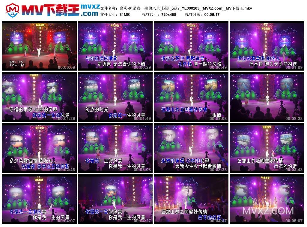 嘉利-你是我一生的风景_国语_流行_YE300205